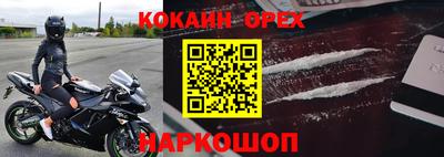 сатива Гай