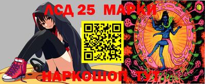 сатива Гай