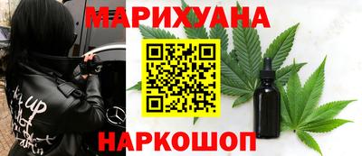 сатива Гай