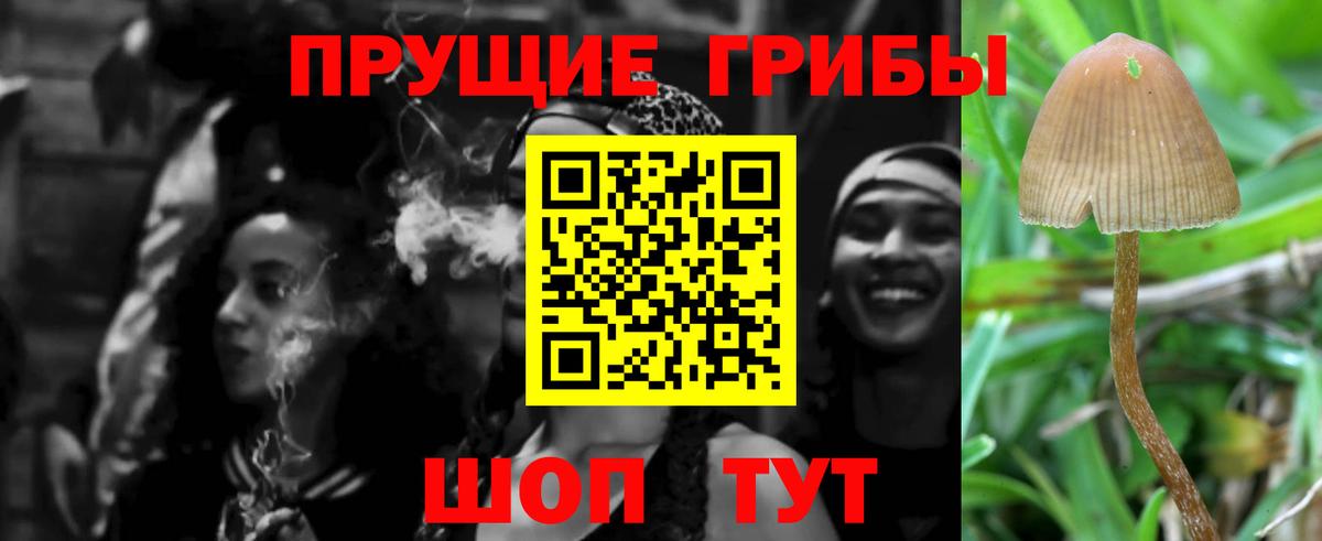 Галлюциногенные грибы Psilocybine cubensis Мирный